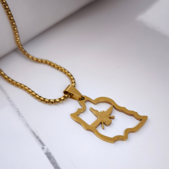 خرید گردنبند ایران فروهر طلایی استیل رنگ ثابت شیک ارزان